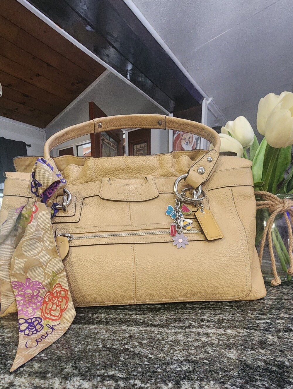 Coach Penelope Pebbled Leather Satchel Handbag